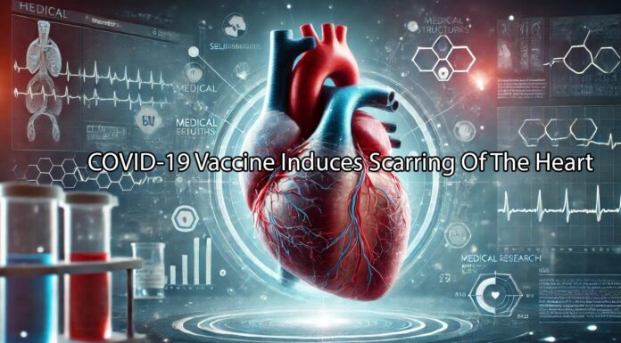 Japanese Study Unveils COVID-19 Vaccine-Induced Heart Scarring Covid-19 vaccine induces scarring of the heart.