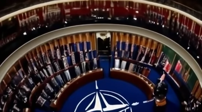 Trump’s Ultimatum: Pay Up or No Protection, Shakes NATO Foundations Trumps Ultimatum to Nato